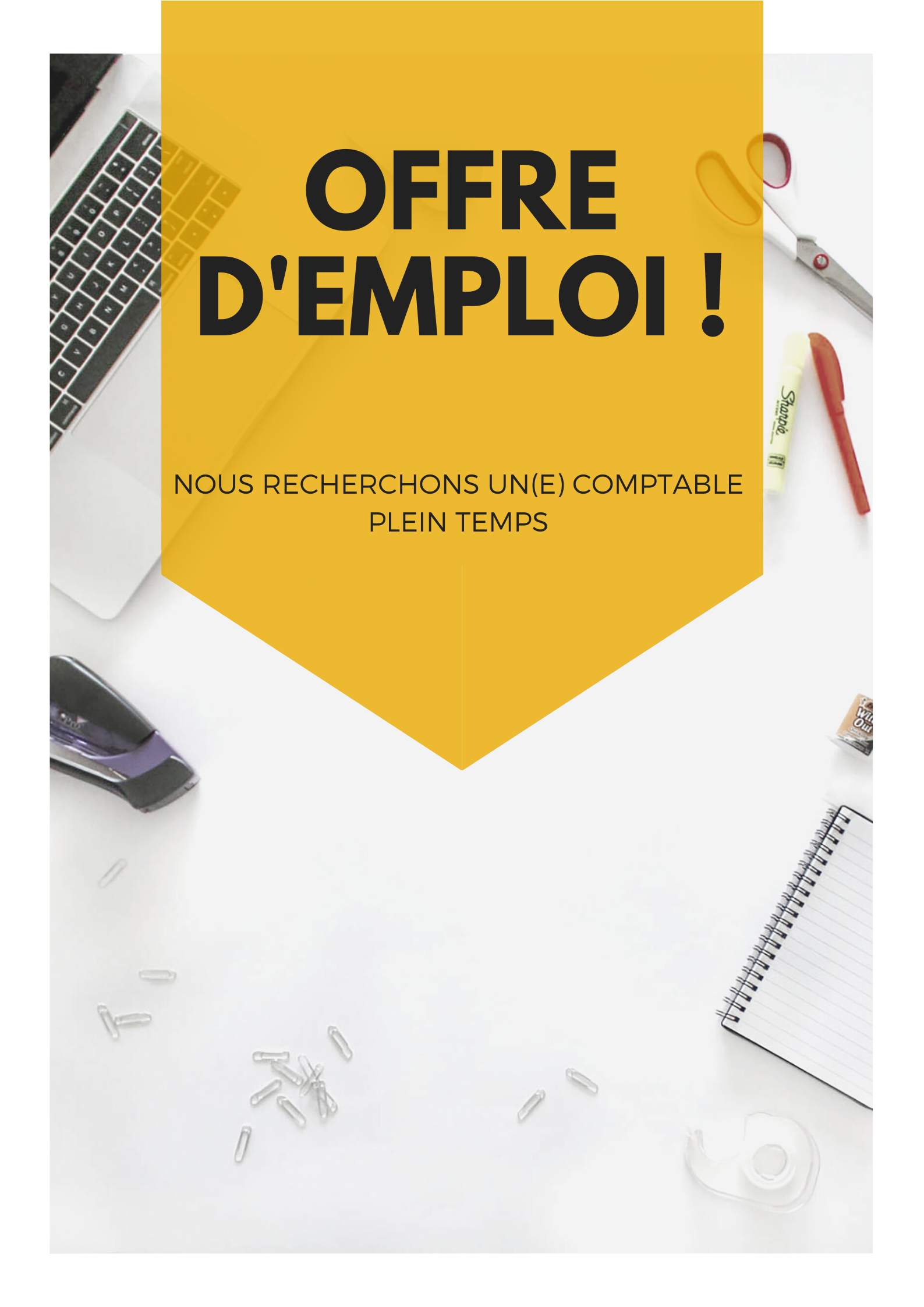 OFFRE D'EMPLOI 1